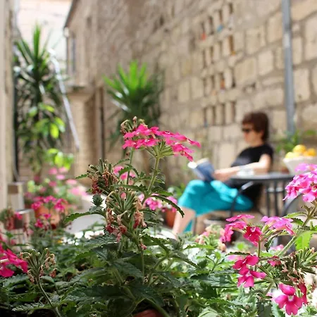 Apartment Street Garden