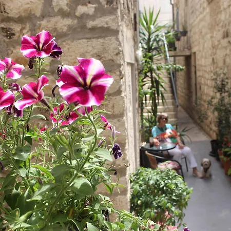 Street Garden *