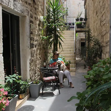 Street Garden